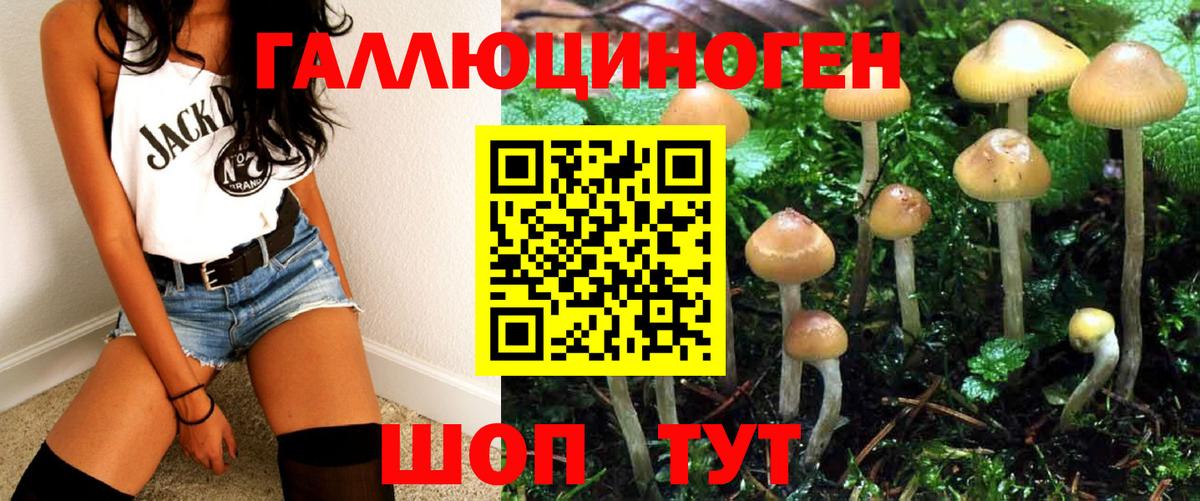 Псилоцибиновые грибы Psilocybe Кимовск